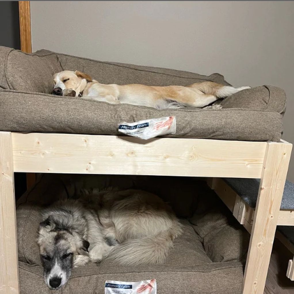 Dog Bed The ORIGINAL!! Elevated Bunk Platform The Kirra Large Dog Bunk Bed for Your Dog Bed--Unfinished Furniture