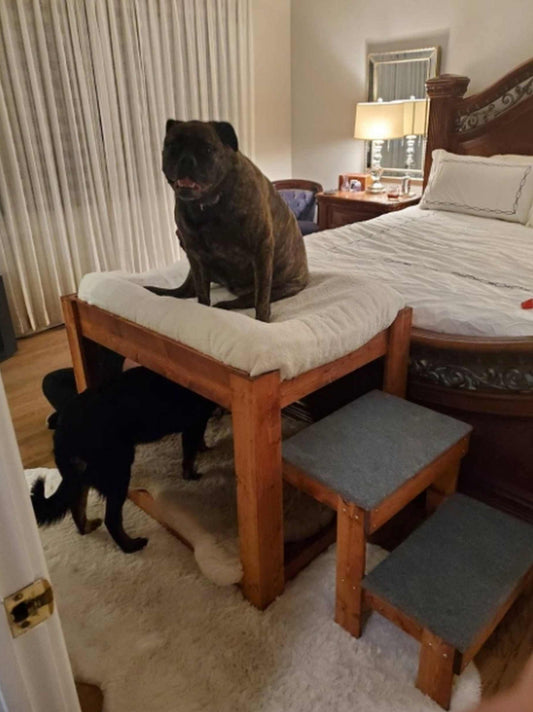 "Kirra" Large Dog Bunk Bed Elevated for Your Dog Bed with 2 Steps Stairs