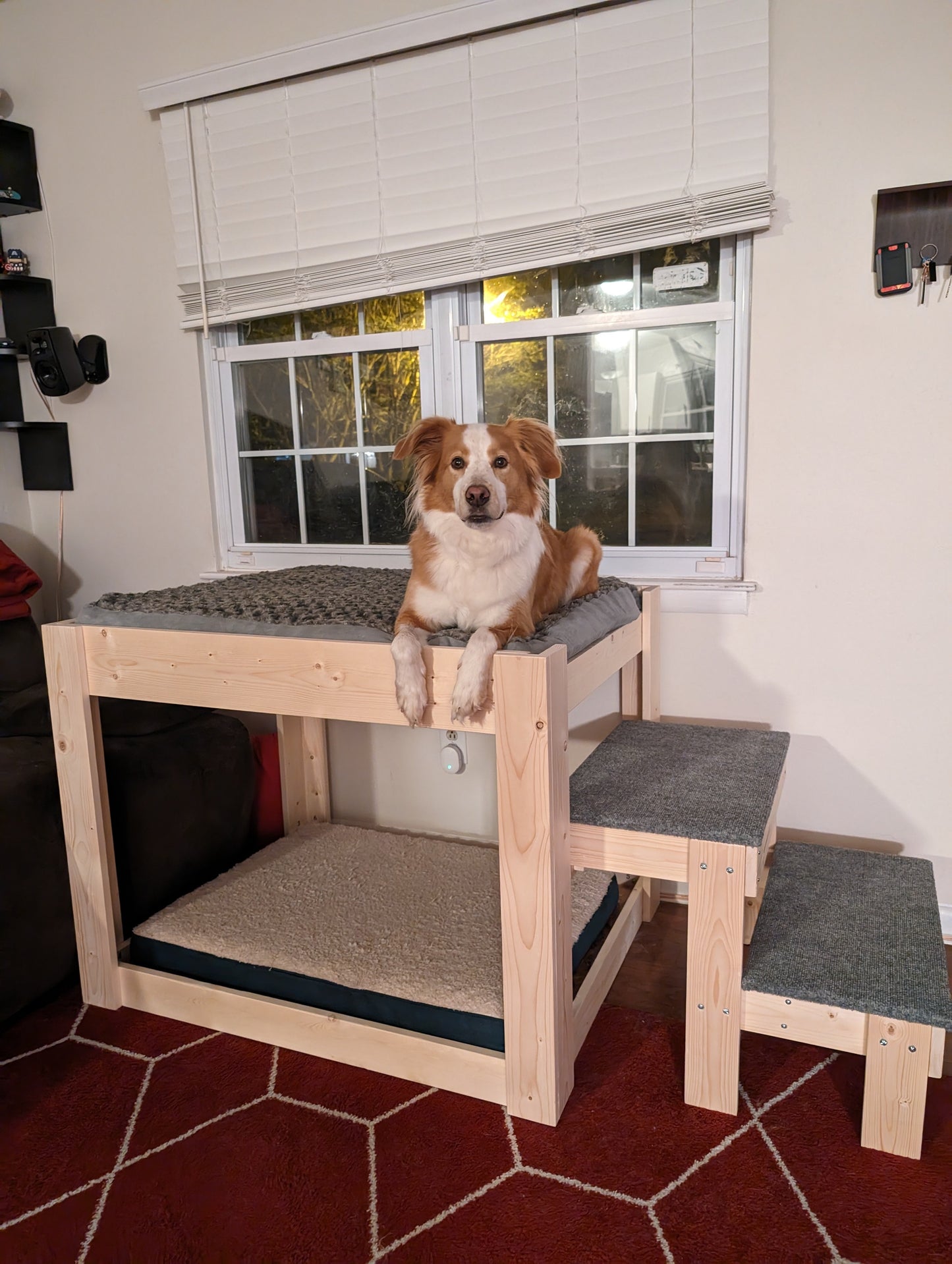 Dog Bed The ORIGINAL!! Elevated Bunk Platform The Kirra Large Dog Bunk Bed for Your Dog Bed--Unfinished Furniture