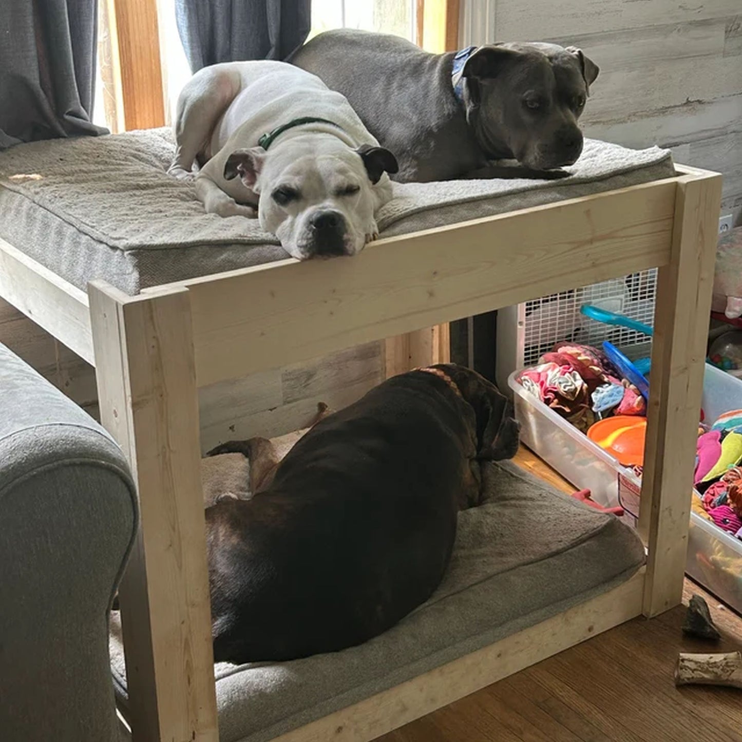 Dog Bed The ORIGINAL!! Elevated Bunk Platform The Kirra Large Dog Bunk Bed for Your Dog Bed--Unfinished Furniture