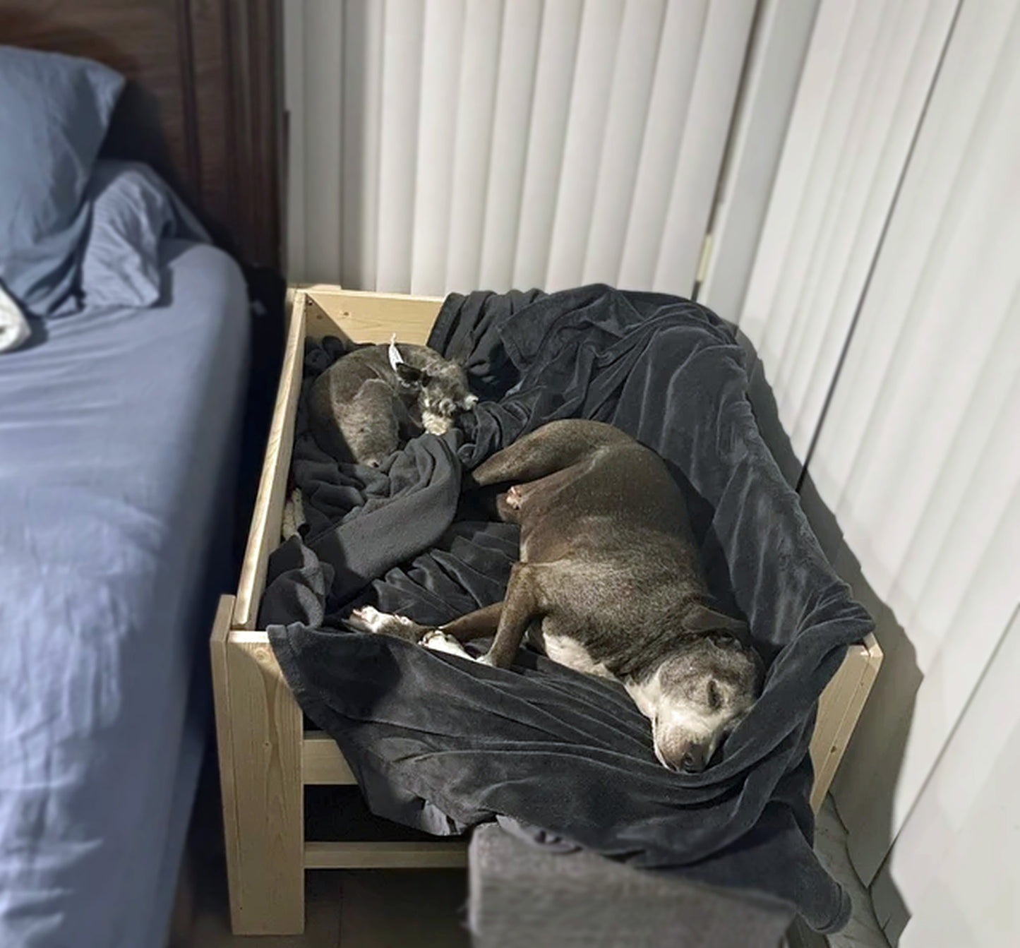 "Luna" Raised Dog Bed Platform Unfinished to hold your own mattress, The Original!