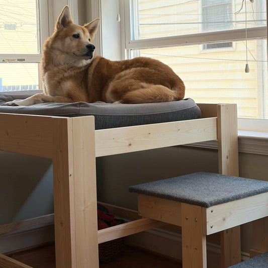 "Milo" 30" High Platform with 2 Steps Dog Bed Platform