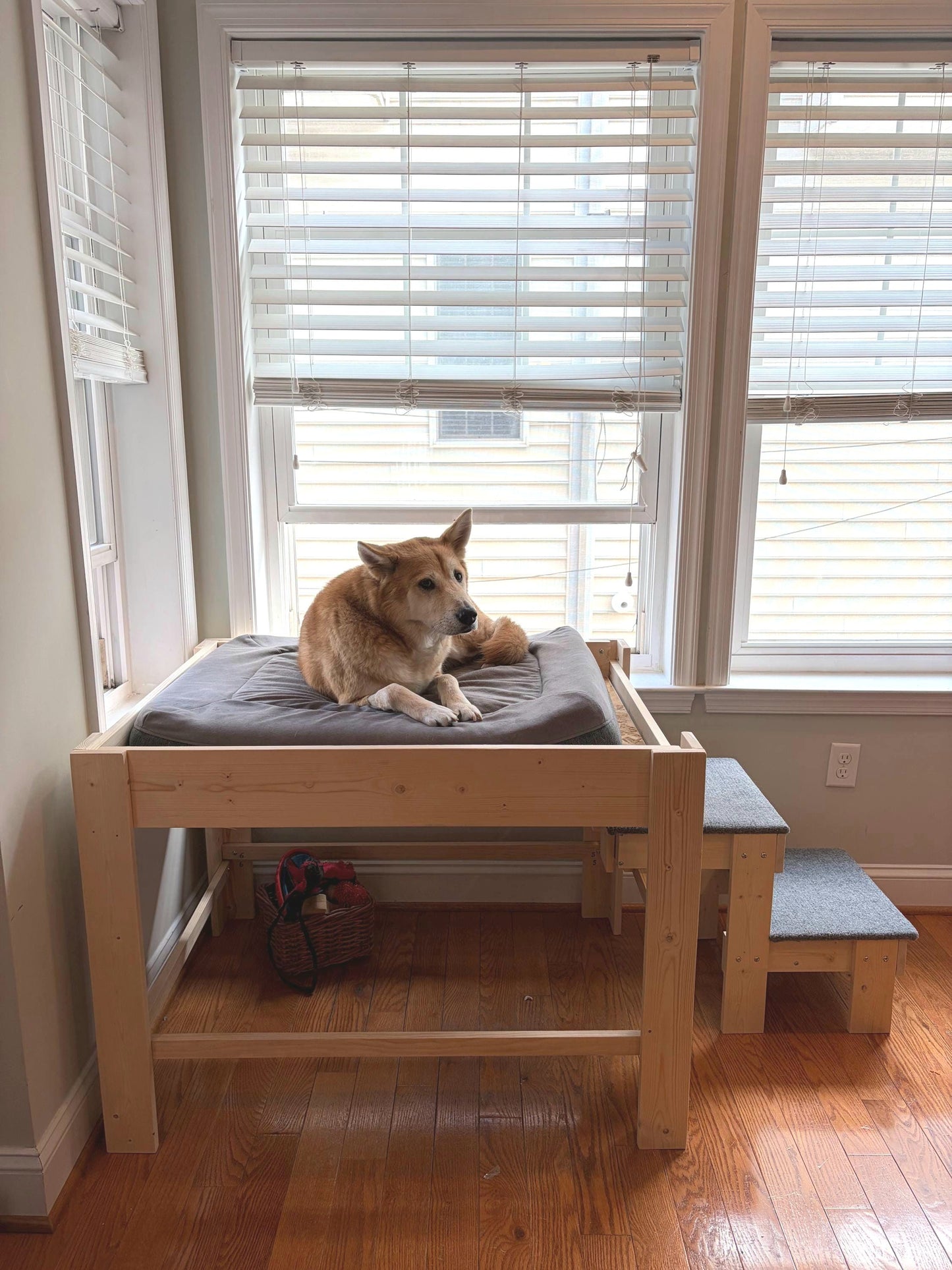 "Milo" 30" High Platform with 2 Steps Dog Bed Platform