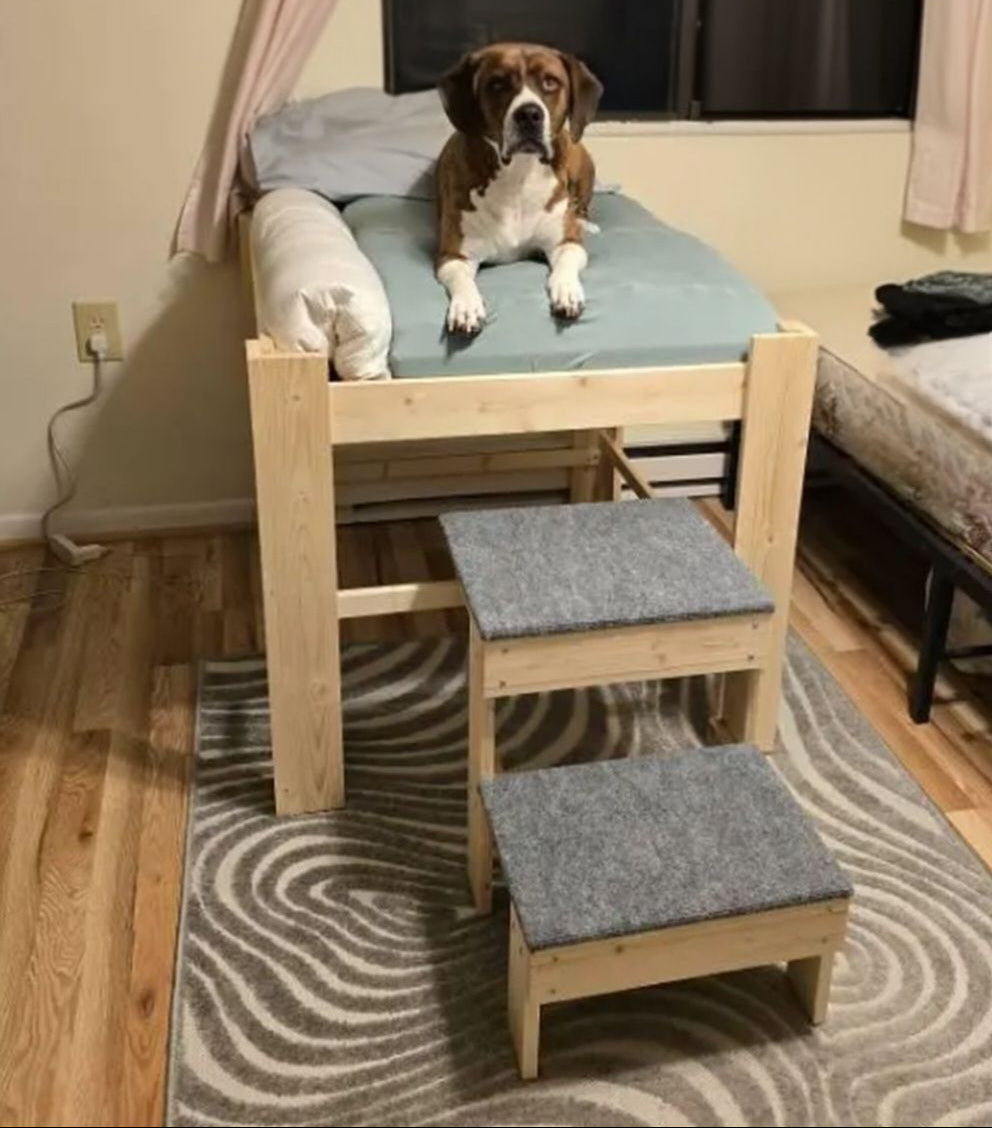 "Milo" 30" High Platform with 2 Steps Dog Bed Platform