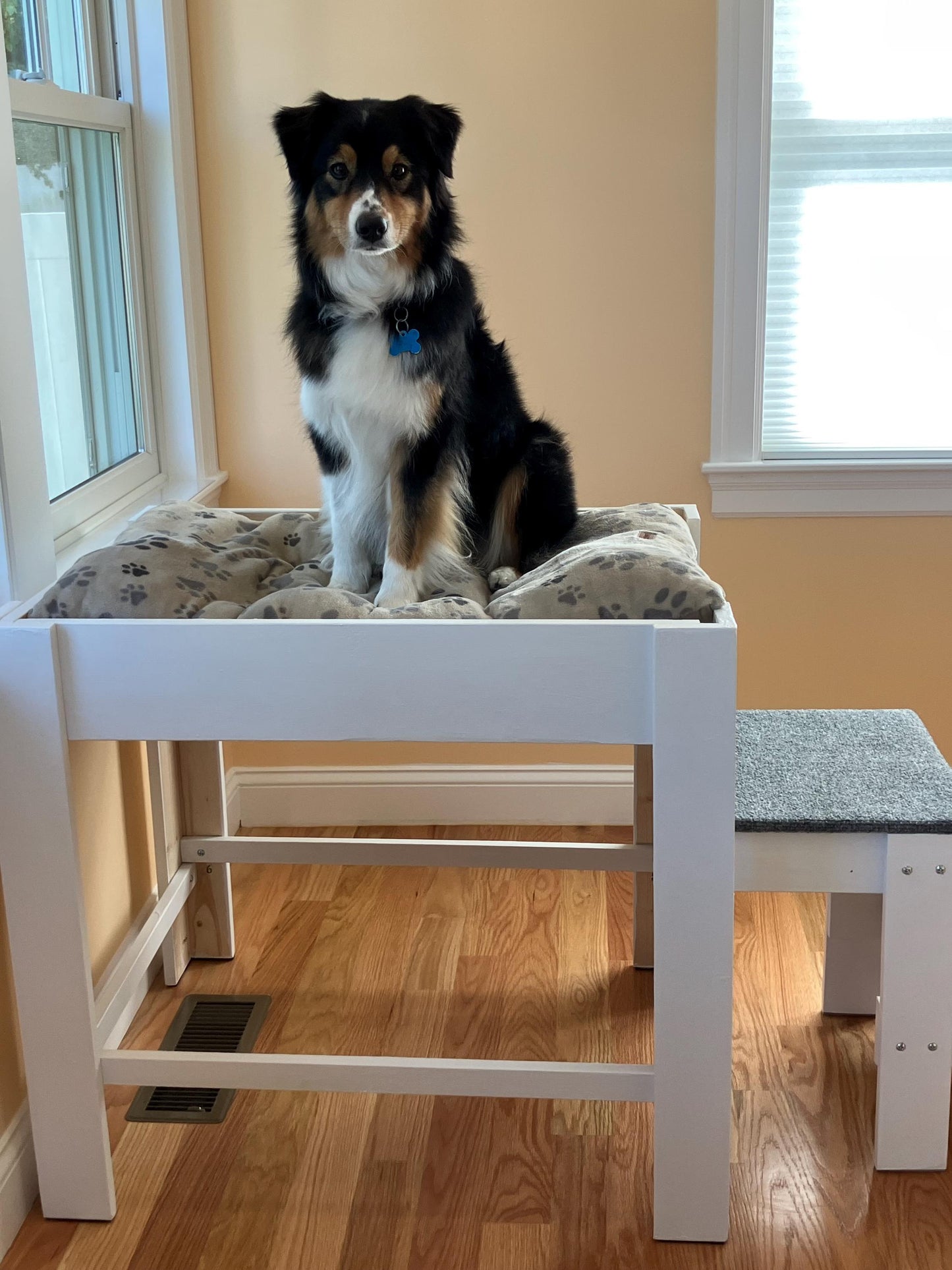 "Xena" Finished White Platform with 2 Steps Dog Bed Platform