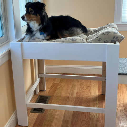 "Xena" Finished White Platform with 2 Steps Dog Bed Platform