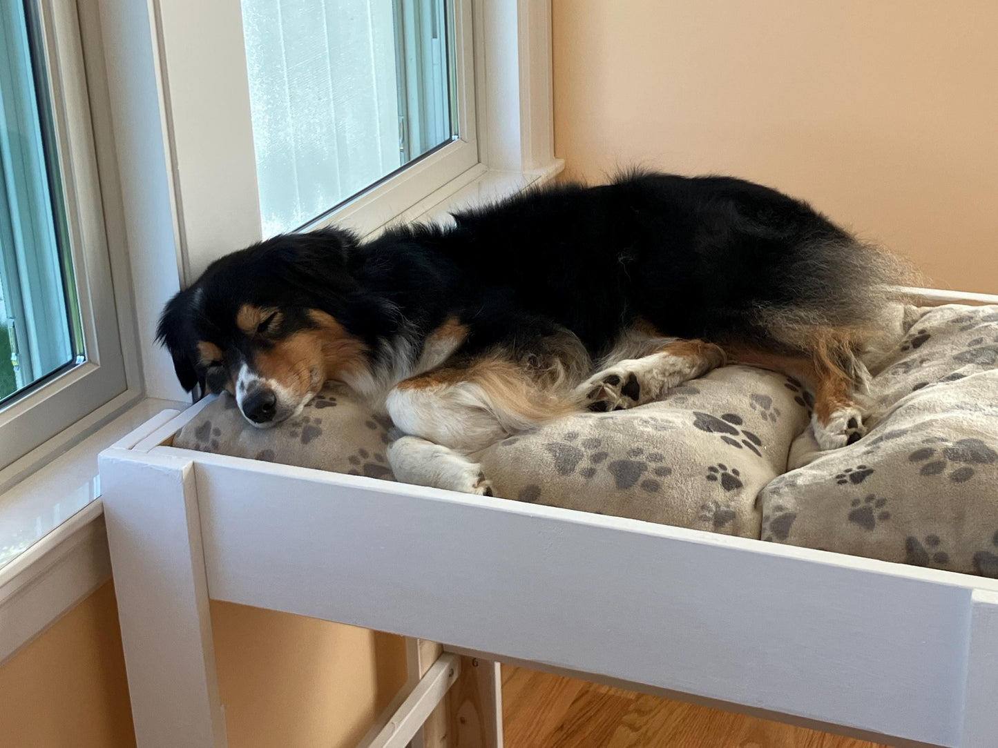 "Xena" Finished White Platform with 2 Steps Dog Bed Platform