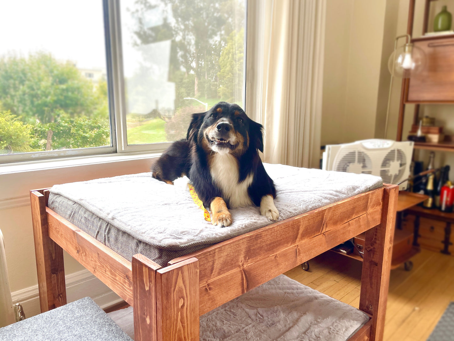 "Kirra" Large Dog Bunk Bed Elevated for Your Dog Bed with 2 Steps Stairs