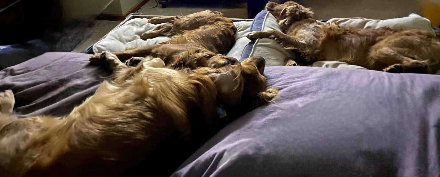 Unfinished Furniture--The "Buster"-The ORIGINAL!!  King Size dog bed platform, Dog bed extender for Your Dog Bed