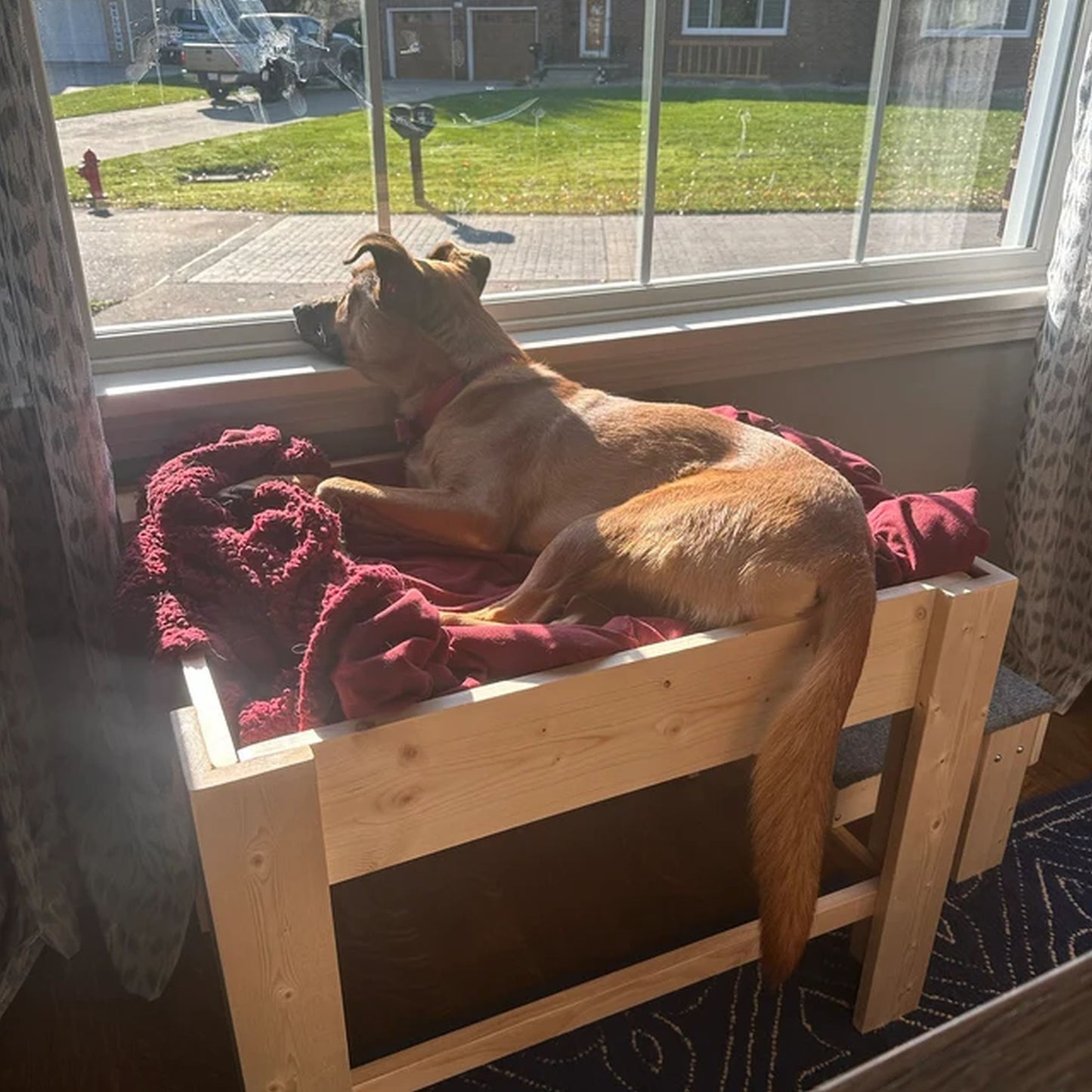 "Sophie" Unfinished Wood Dog Bed Platform to Hold Your Dog Bed Cushion