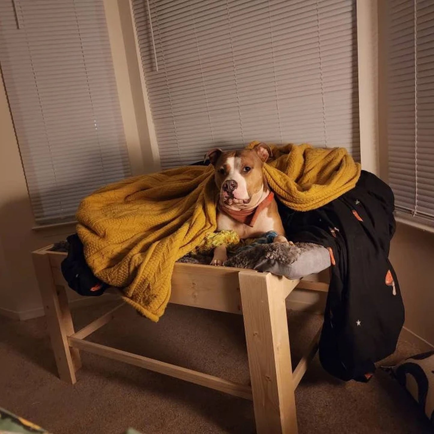 "Sophie" Unfinished Wood Dog Bed Platform to Hold Your Dog Bed Cushion