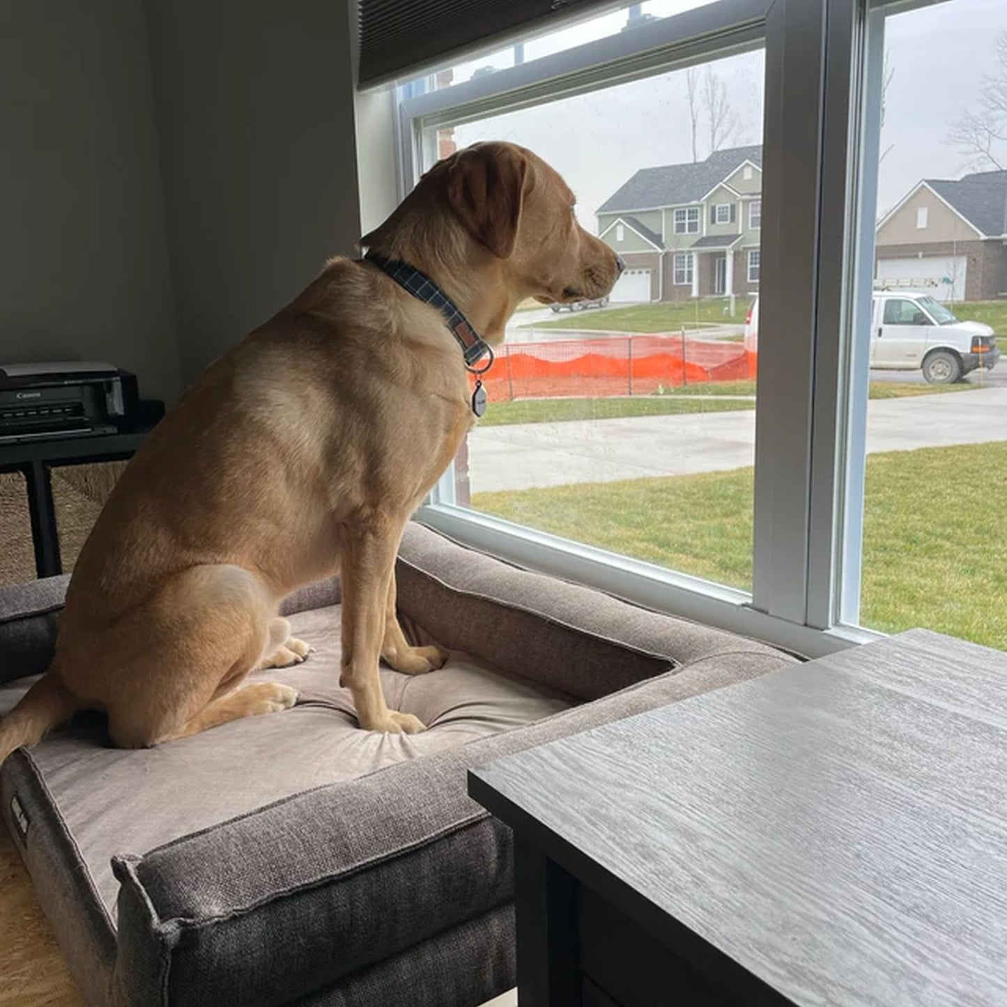 "Sophie" Unfinished Wood Dog Bed Platform to Hold Your Dog Bed Cushion