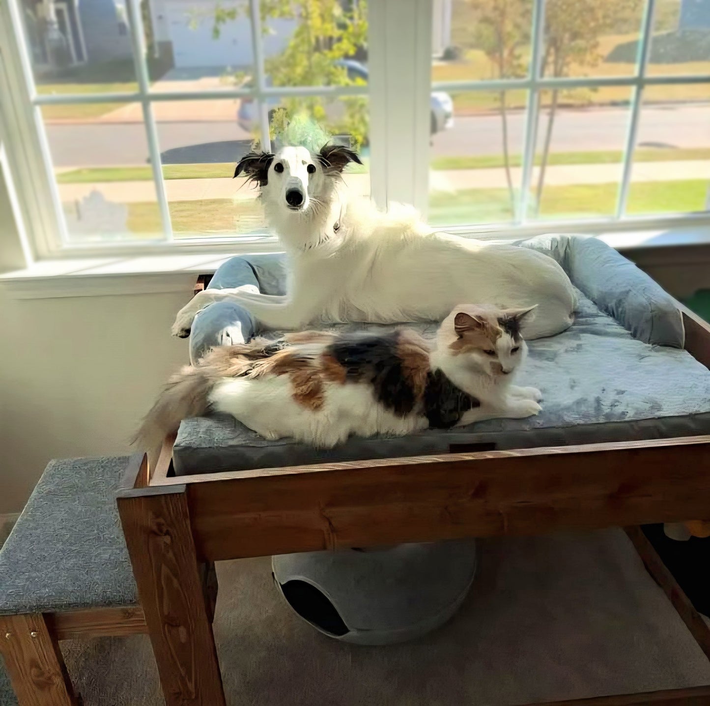 "Elphaba" Finished Wood Dog Bed Platform to Hold Your Dog Bed Cushion
