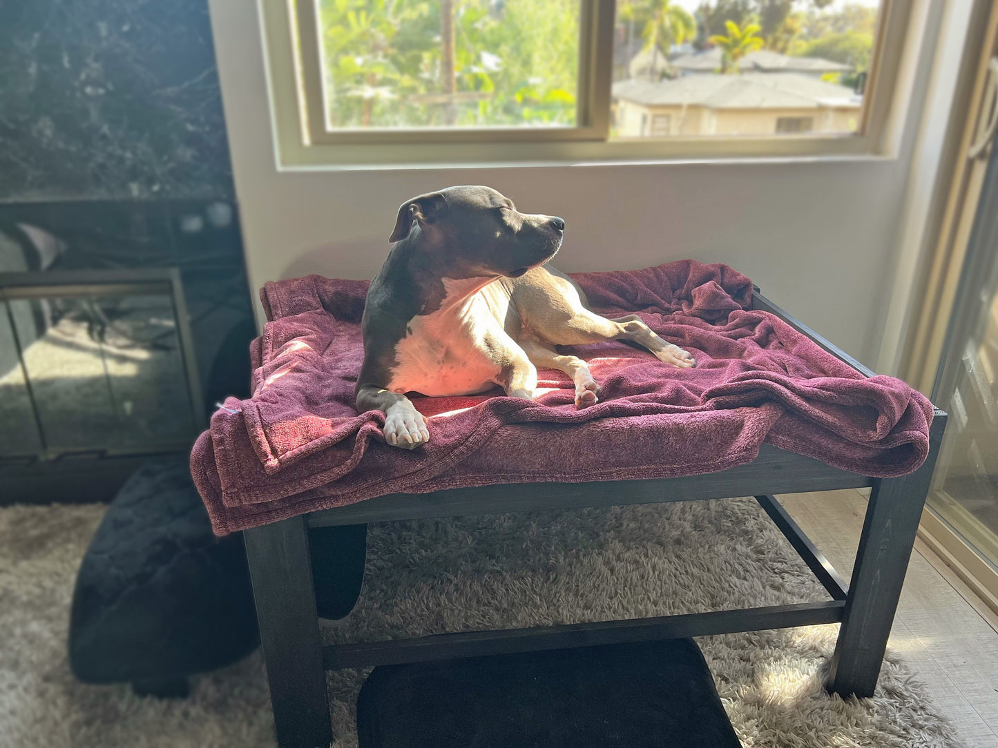 "Elphaba" Finished Wood Dog Bed Platform to Hold Your Dog Bed Cushion
