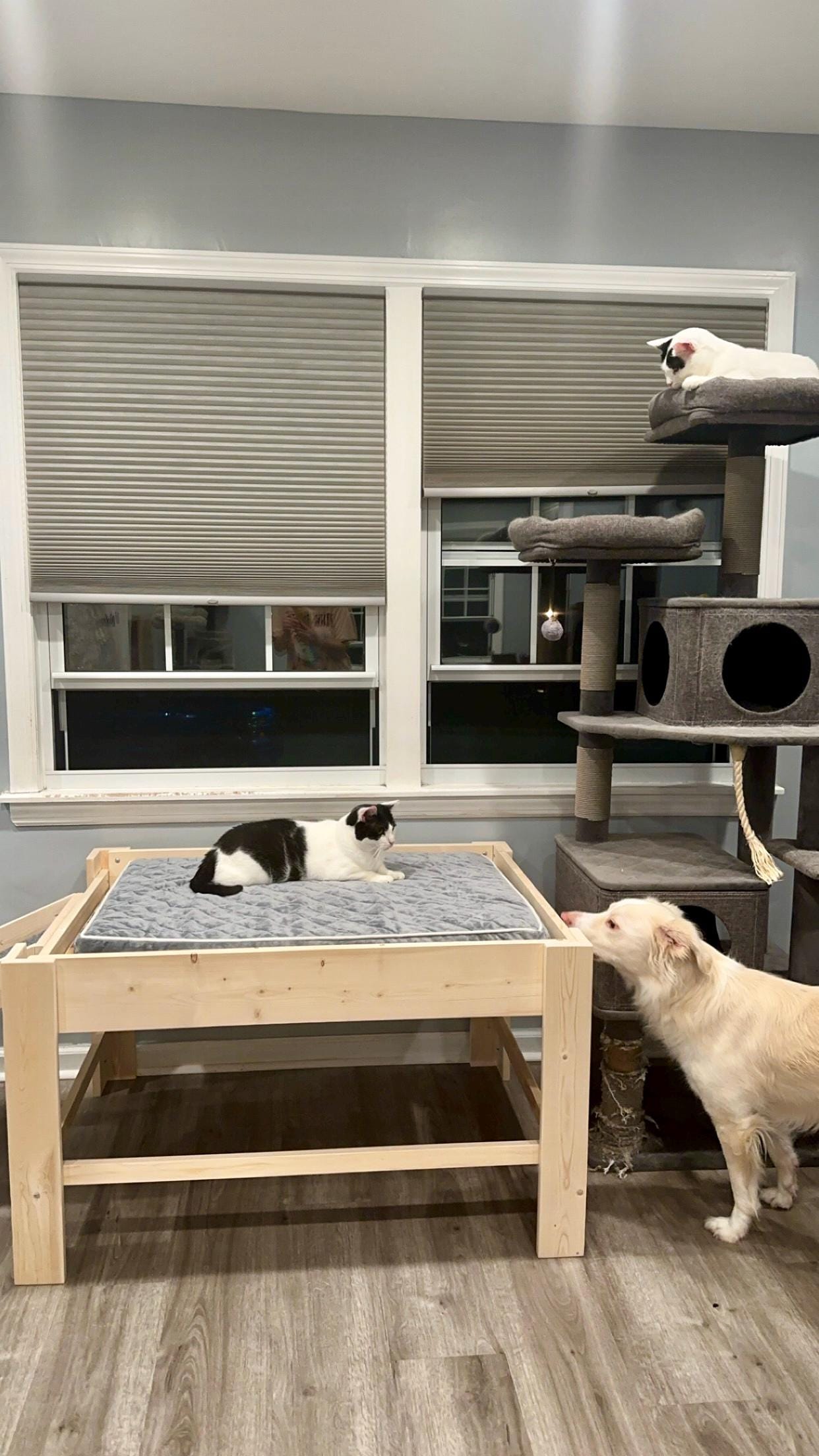 "Sophie" Unfinished Wood Dog Bed Platform to Hold Your Dog Bed Cushion