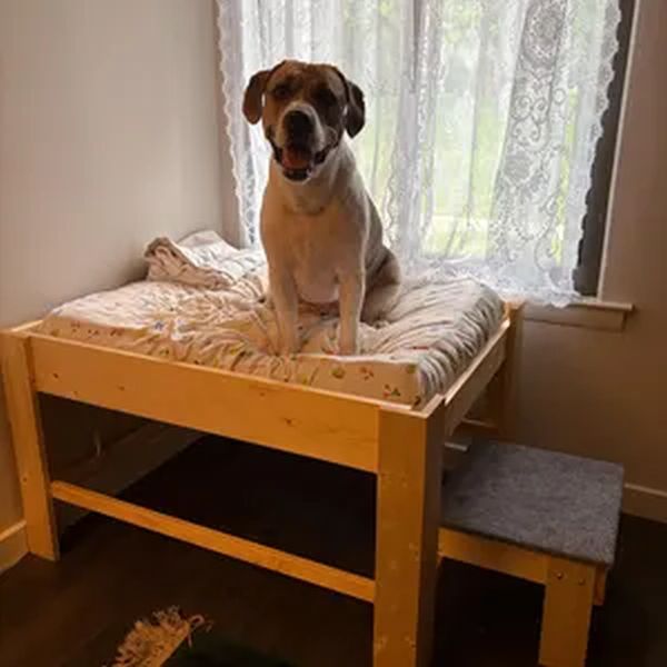 "Sophie" Unfinished Wood Dog Bed Platform to Hold Your Dog Bed Cushion
