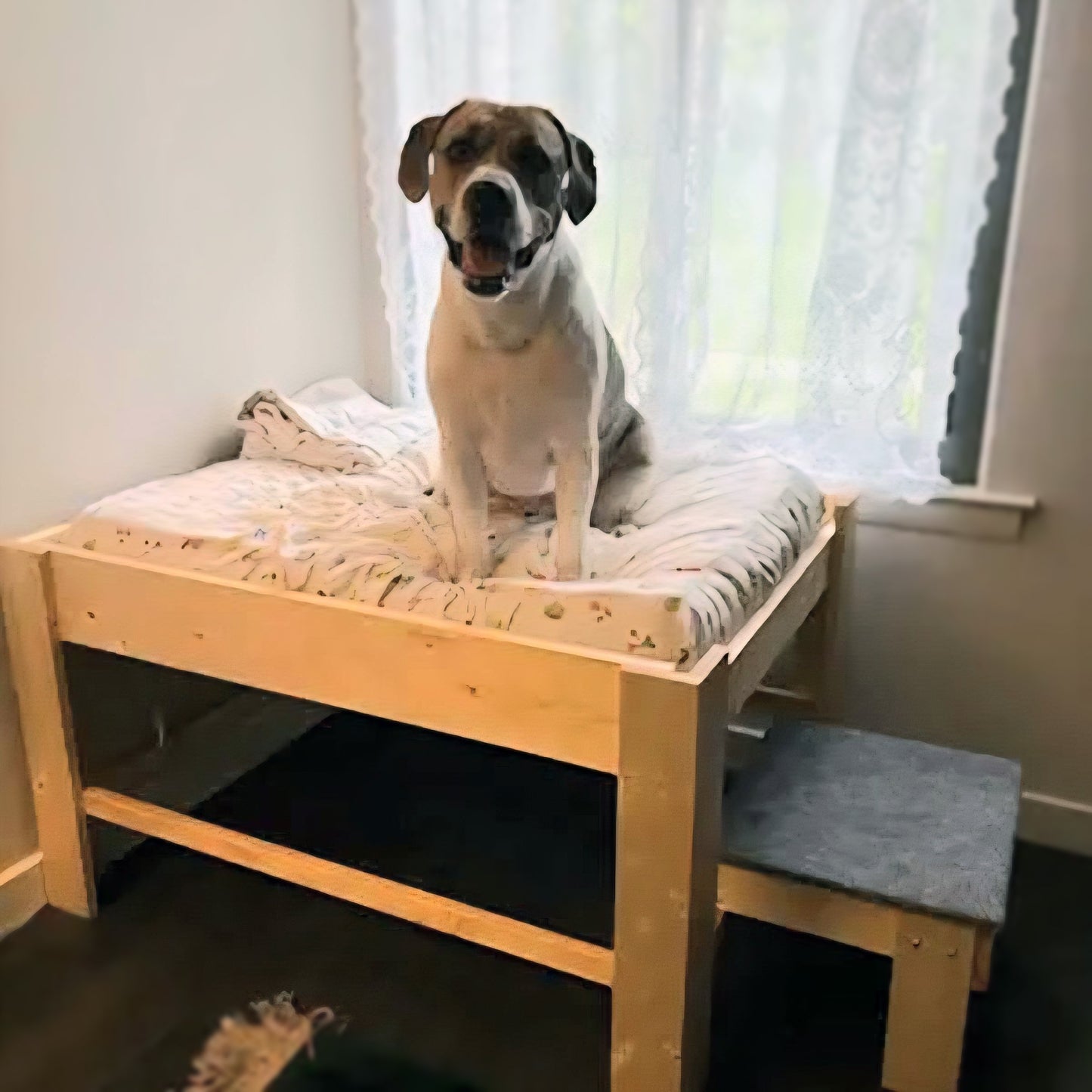 "Elphaba" Finished Wood Dog Bed Platform to Hold Your Dog Bed Cushion