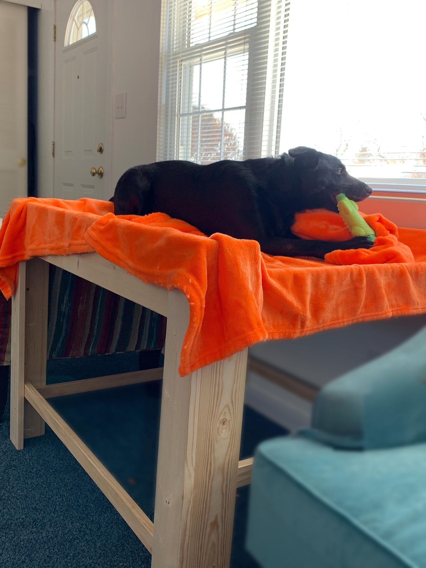 "Daisy" 30" High Platform Only Unfinished Wood Dog Bed Platform to Hold Your Dog Bed Cushion