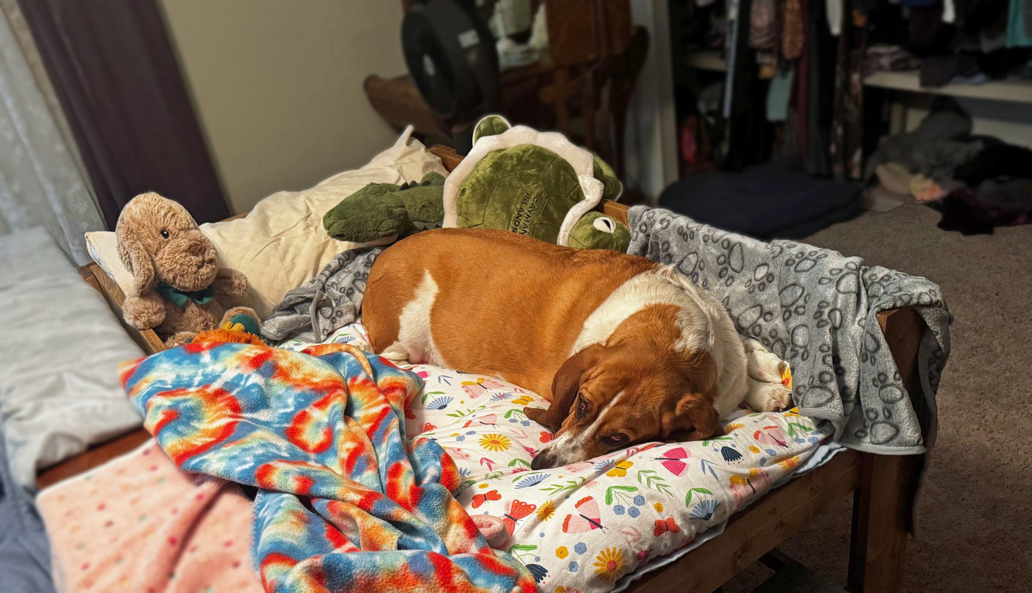 "Sophie" Unfinished Wood Dog Bed Platform to Hold Your Dog Bed Cushion