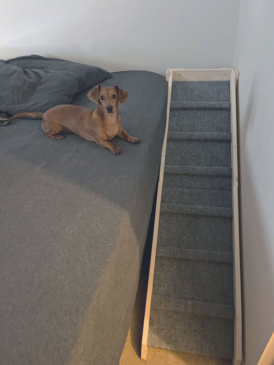 Wood Dog Ramp 30" High Furniture Unfinished