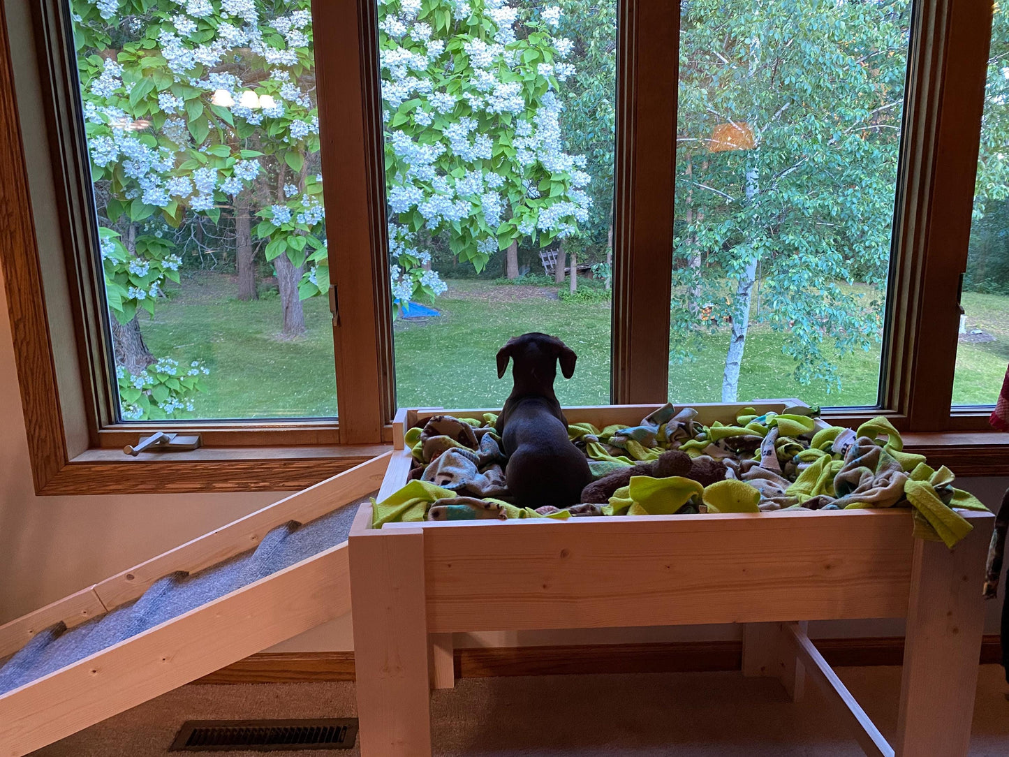 "Glinda" Dog Bed Platform with Ramp to Hold Your Dog Bed Cushion Unfinished