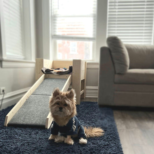 "Bella" Raised Dog Bed Platform with High Rails Unfinished