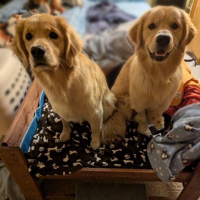 "Buddy" Raised Dog Bed Platform with Raised Rails Unfinished to hold your own mattress