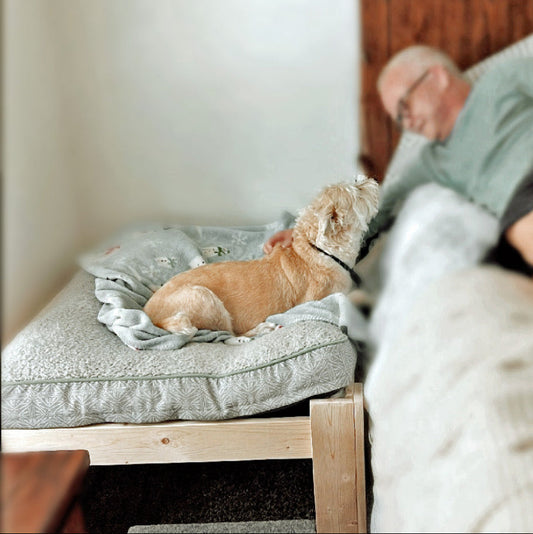 "Max" Average Size Unfinished Wood Dog Bed Platform with Step