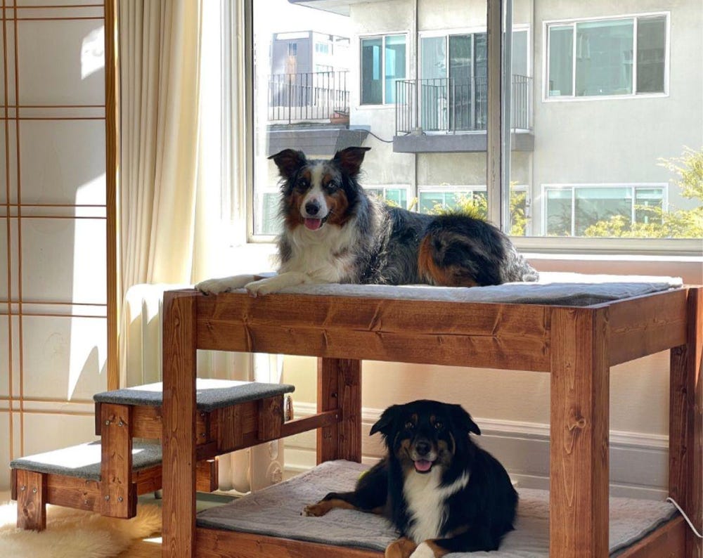 Dog Bed The ORIGINAL!! Elevated Bunk Platform The Kirra Large Dog Bunk Bed for Your Dog Bed--Unfinished Furniture