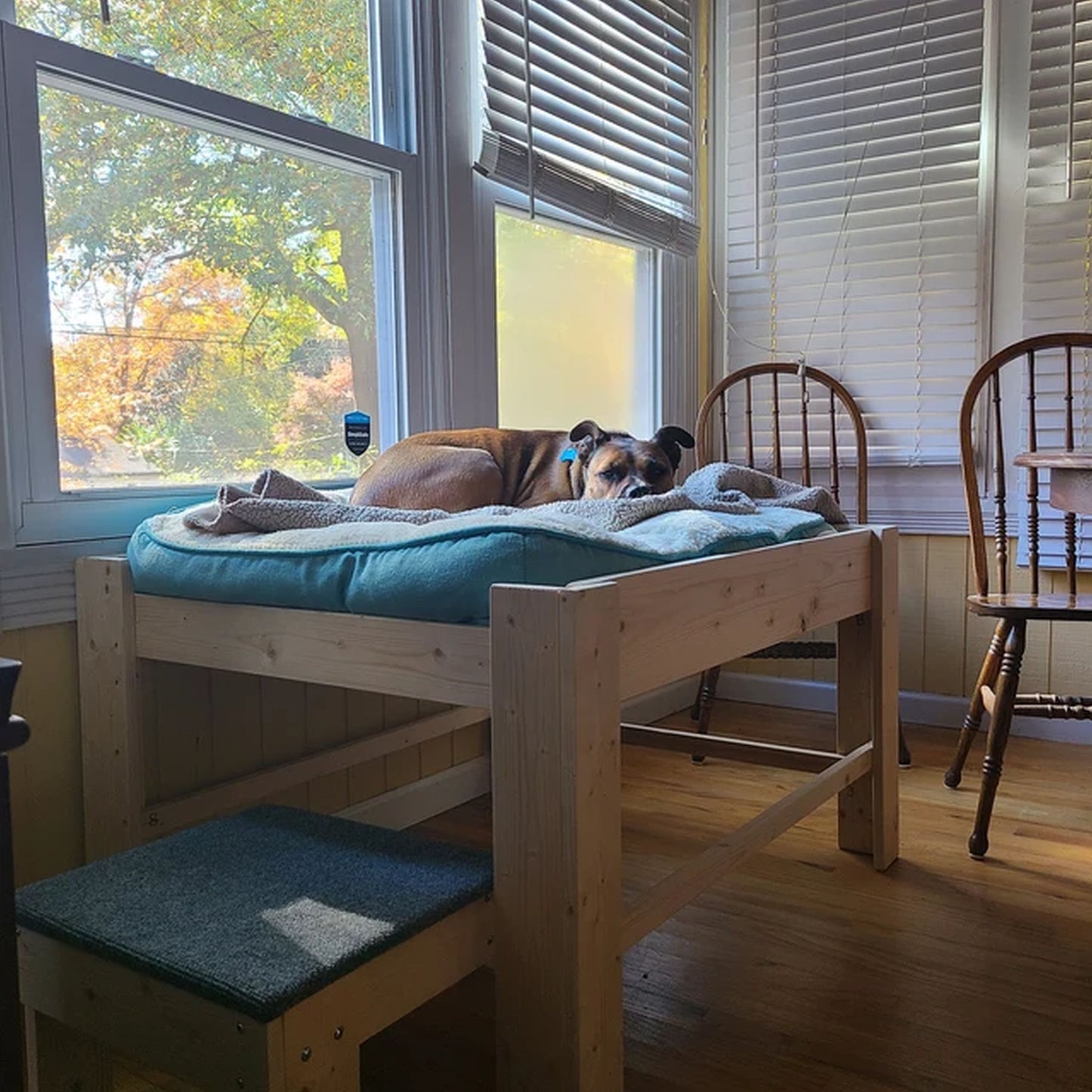 "Sophie" Unfinished Wood Dog Bed Platform to Hold Your Dog Bed Cushion